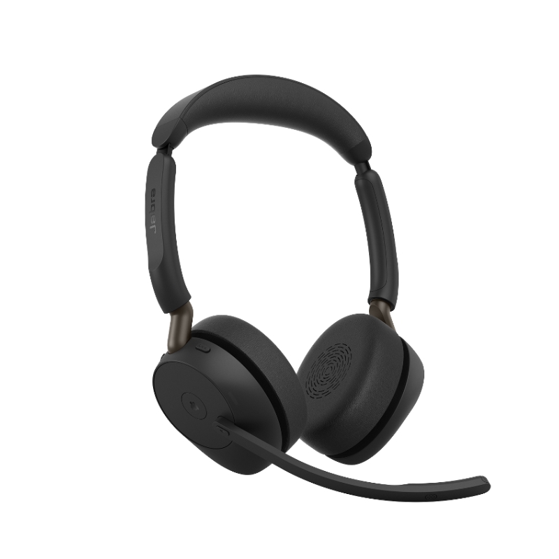 Evolve3 65 Stereo MS, Link 390a, mit Station